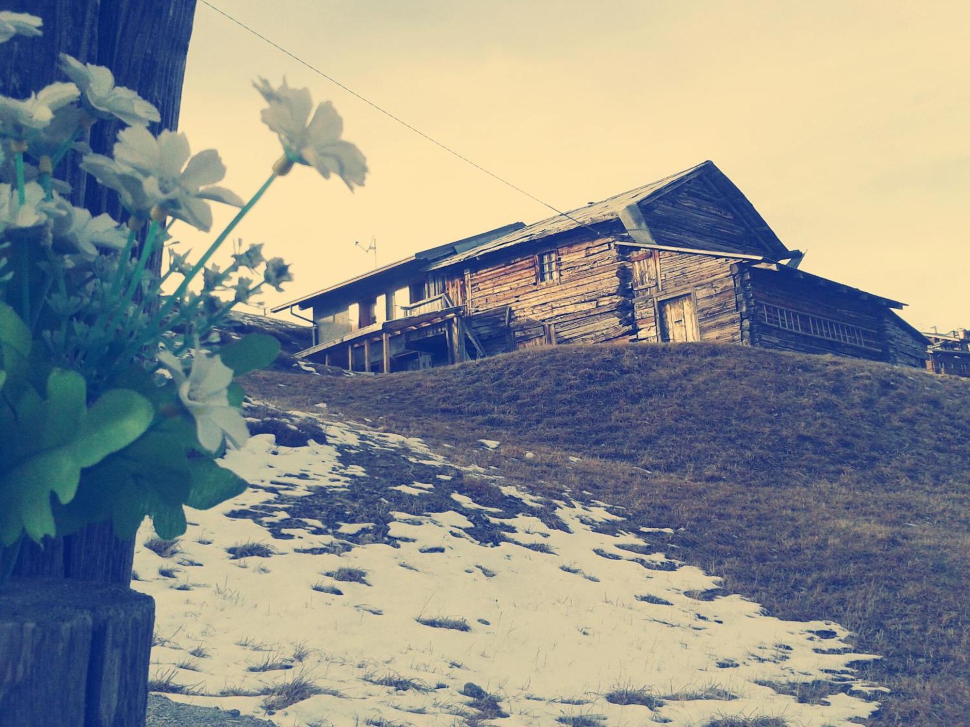 Hotel La Tea Livigno Pokój zdjęcie